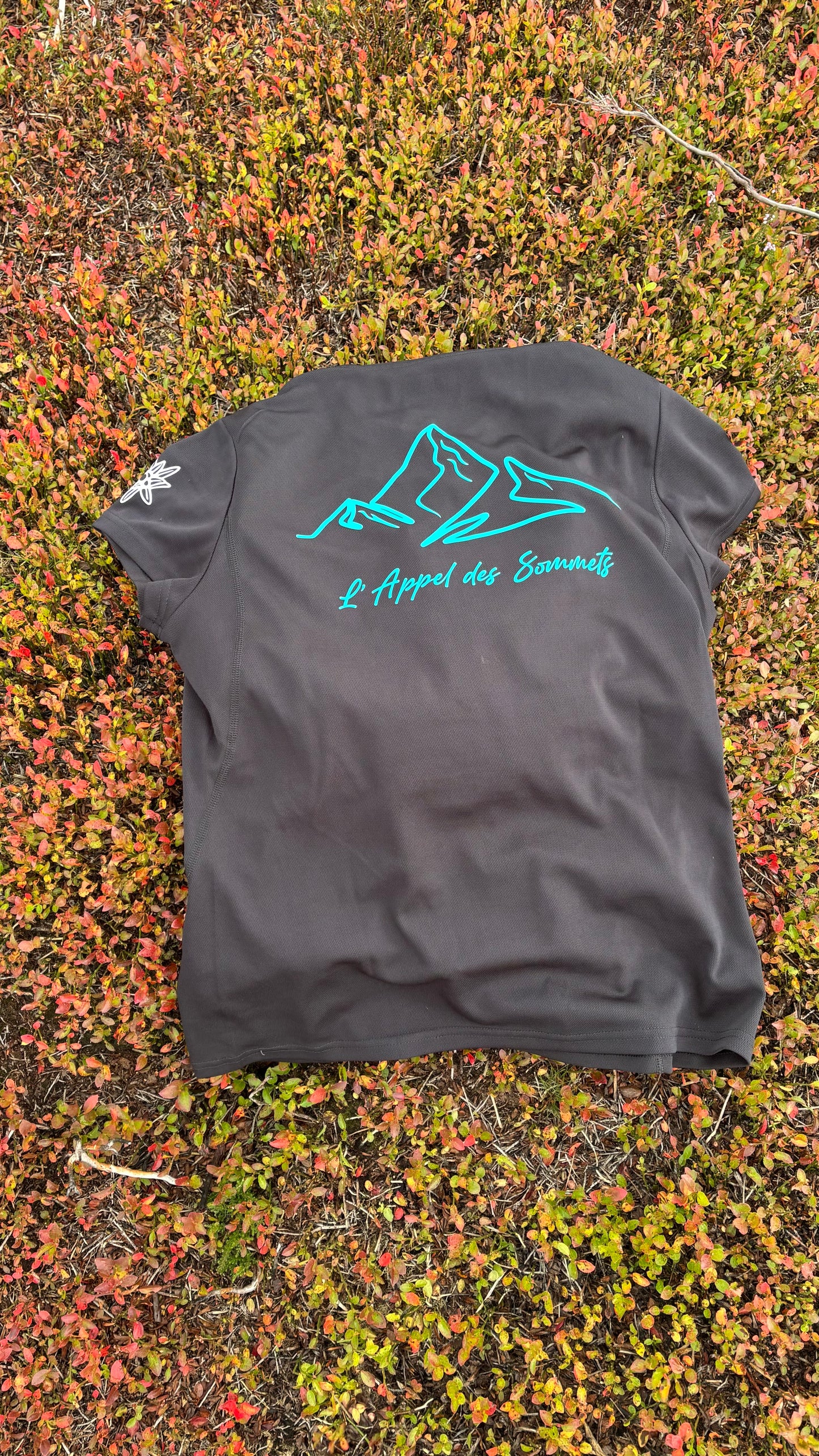 L’Appel Des Sommets-Call of the summits