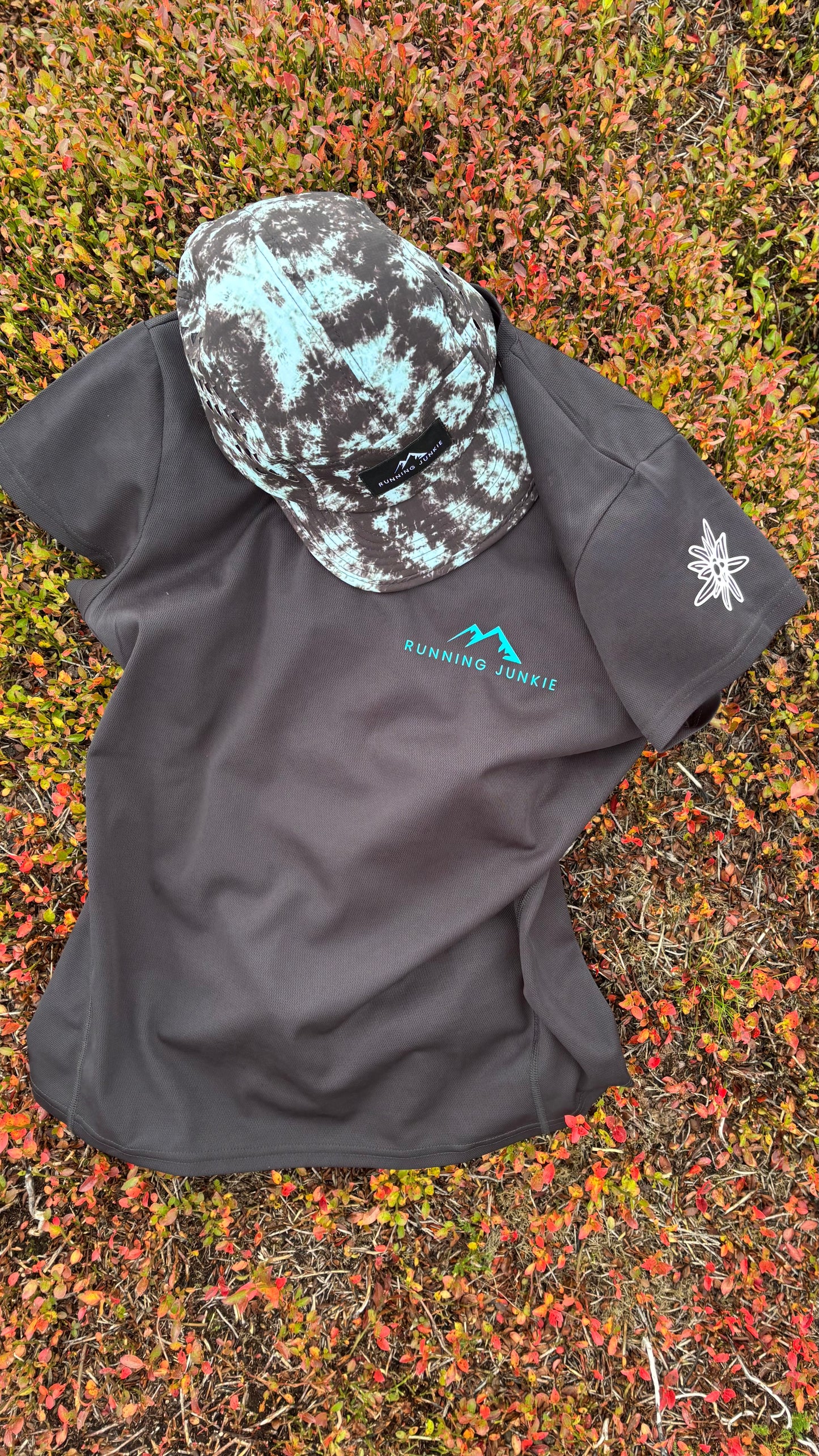 L’Appel Des Sommets- Call of the Summits