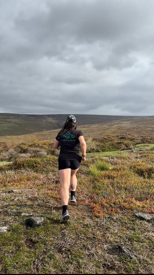 L’Appel Des Sommets- Call of the Summits