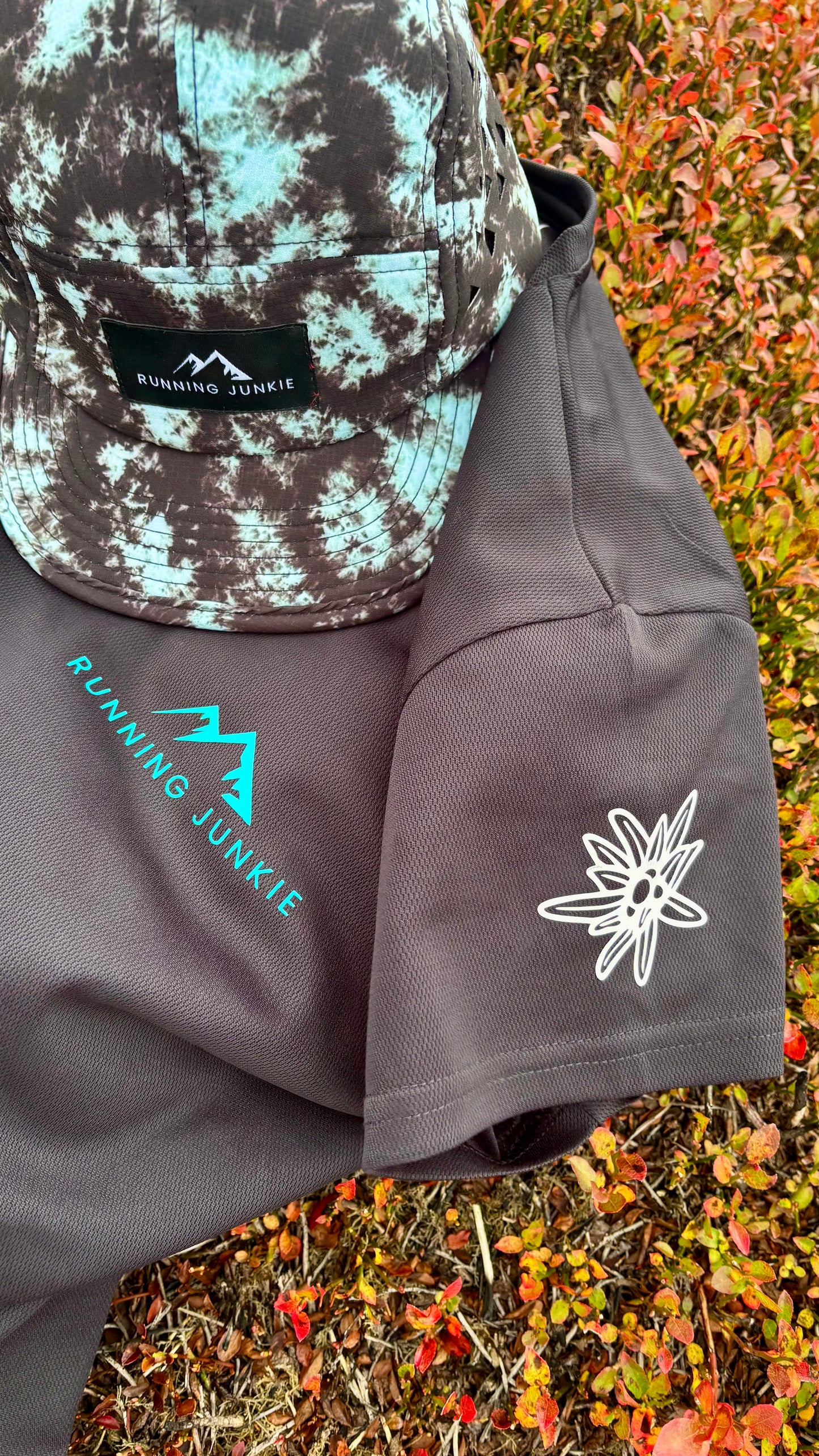 L’Appel Des Sommets- Call of the Summits